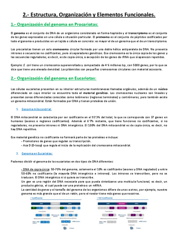 Miniatura del documento Tema 2.pdf