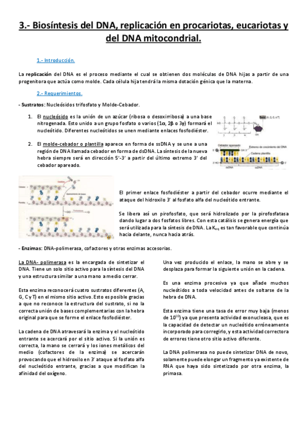 Miniatura del documento Tema 3.pdf