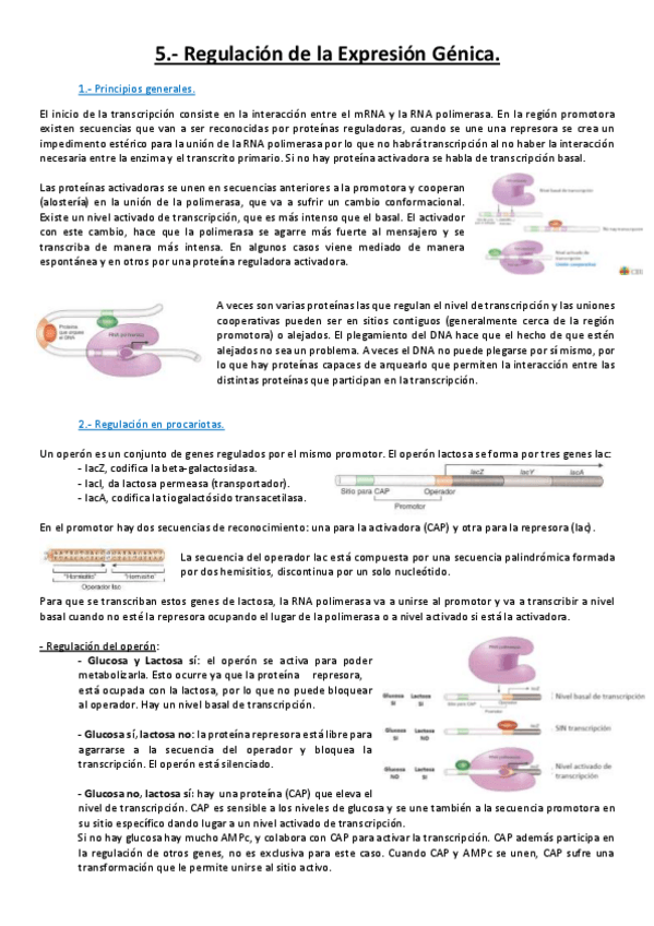 Miniatura del documento Tema 5.pdf