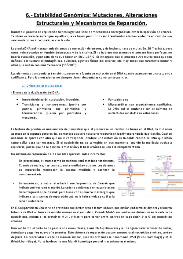 Miniatura del documento Tema 6.pdf