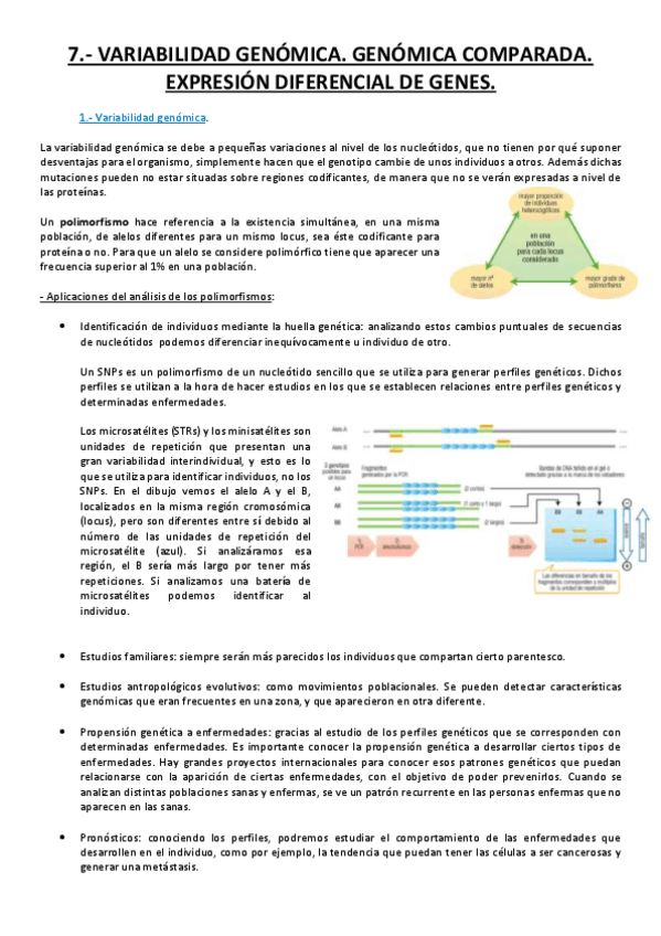 Miniatura del documento Tema 7.pdf