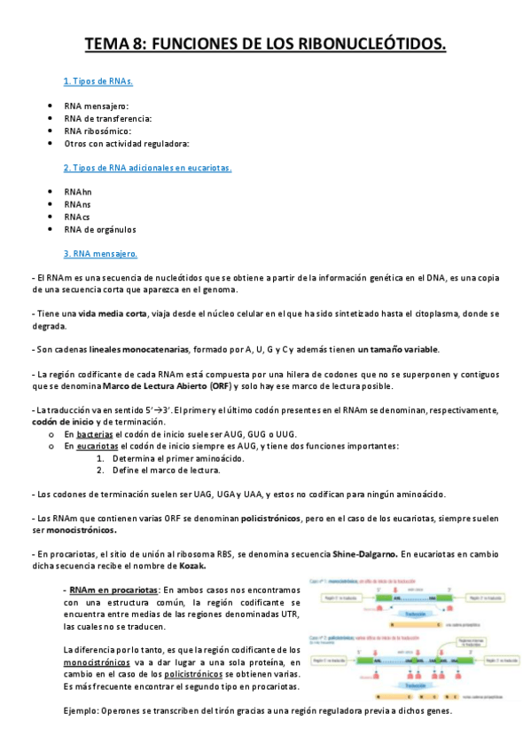 Miniatura del documento Tema 8.pdf