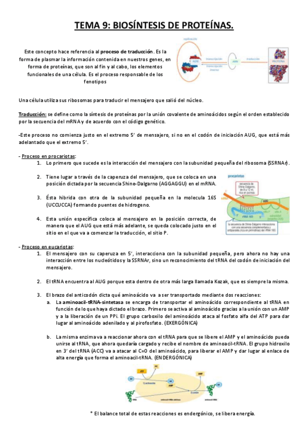 Miniatura del documento Tema 9.pdf