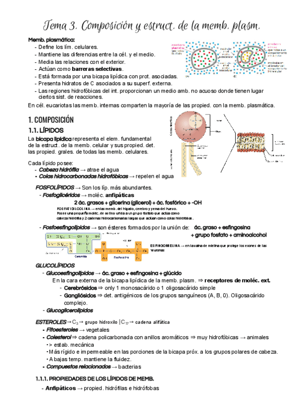 Miniatura del documento Tema-3.pdf