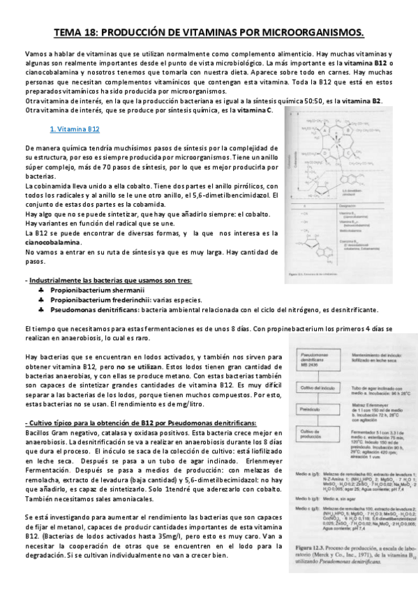 Miniatura del documento Tema 18.pdf