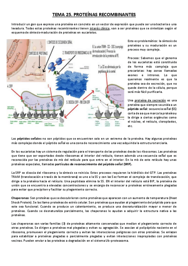 Miniatura del documento Tema 25.pdf