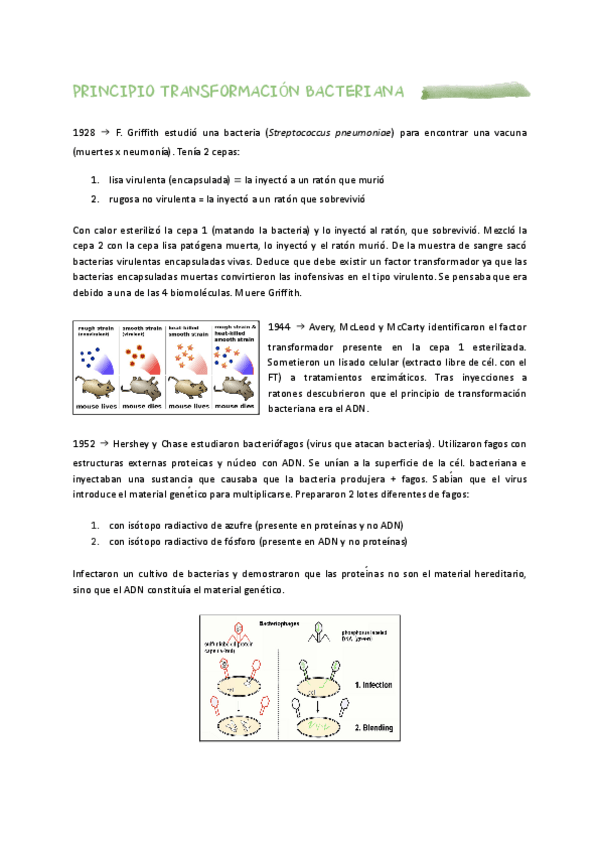 Miniatura del documento Genetica.pdf