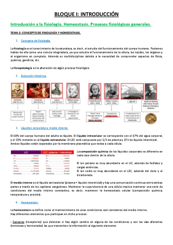 Miniatura del documento 13 TEMA.pdf