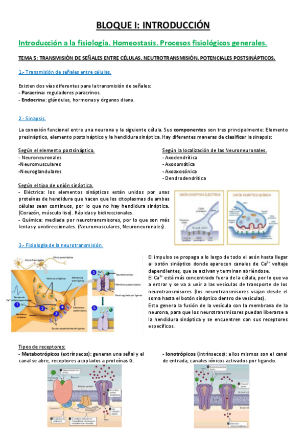 Miniatura del documento 5 TEMA.pdf