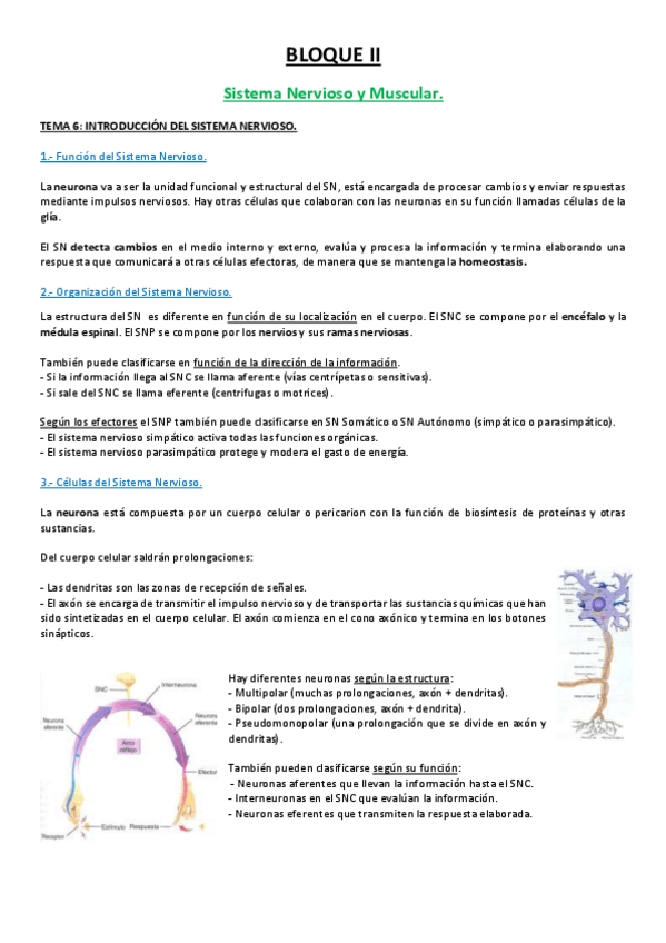 Miniatura del documento 6 TEMA.pdf