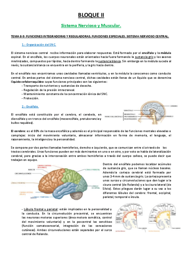 Miniatura del documento 89 TEMA.pdf
