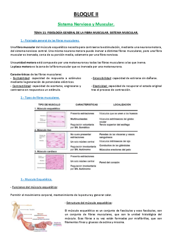 Miniatura del documento 11 TEMA.pdf