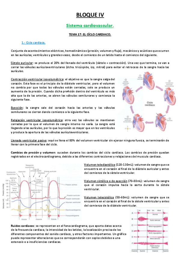 Miniatura del documento 17 TEMA.pdf