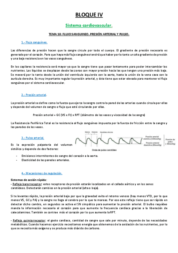 Miniatura del documento 18 TEMA.pdf