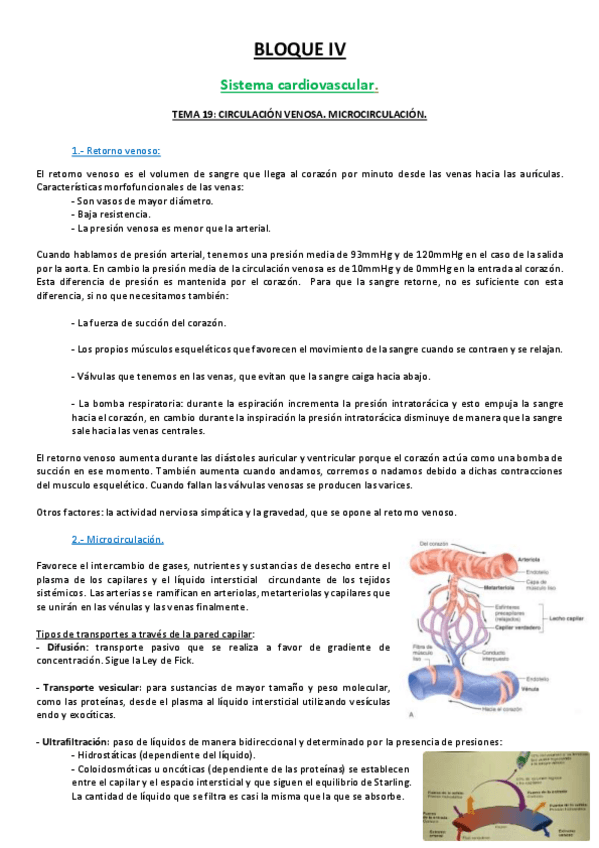 Miniatura del documento 19 TEMA.pdf