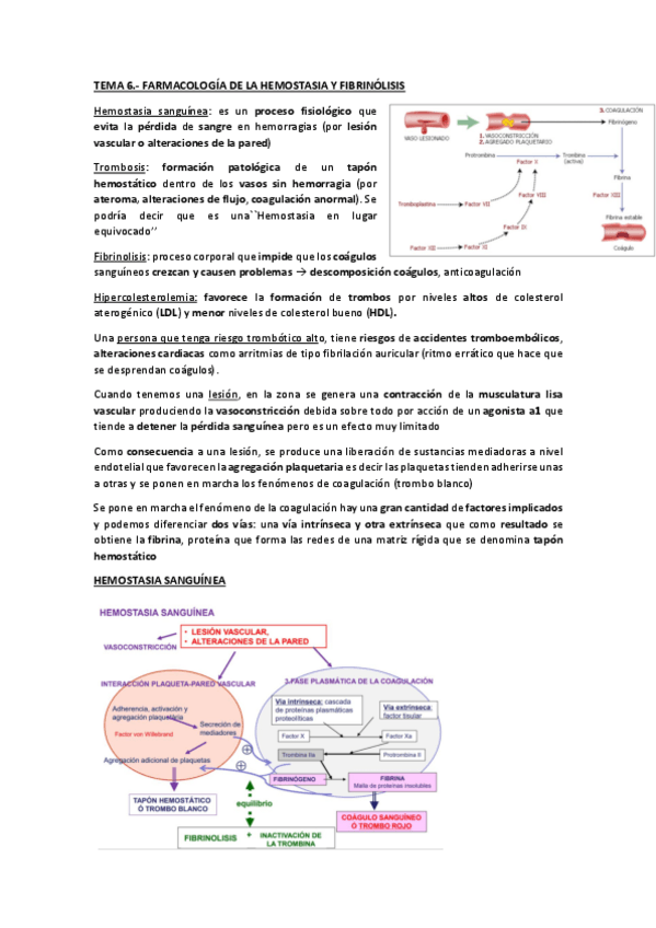 Miniatura del documento TEMA-6-FARMA-II-pdf.pdf