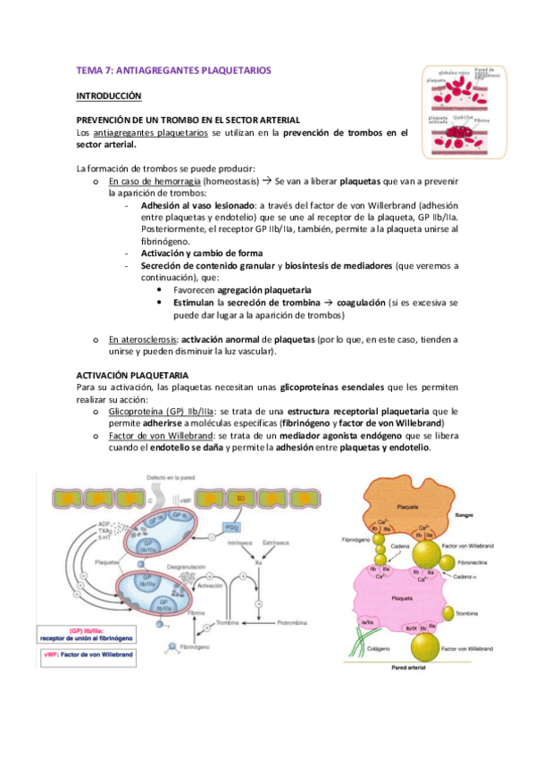 Miniatura del documento TEMA-7-FARMA-2.pdf