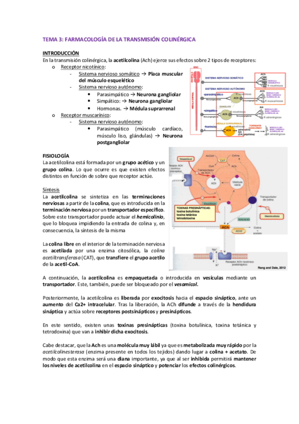 Miniatura del documento TEMA-3-FARMA-2.pdf
