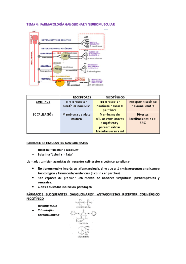 Miniatura del documento TEMA-4-FARMA-II-pdf.pdf