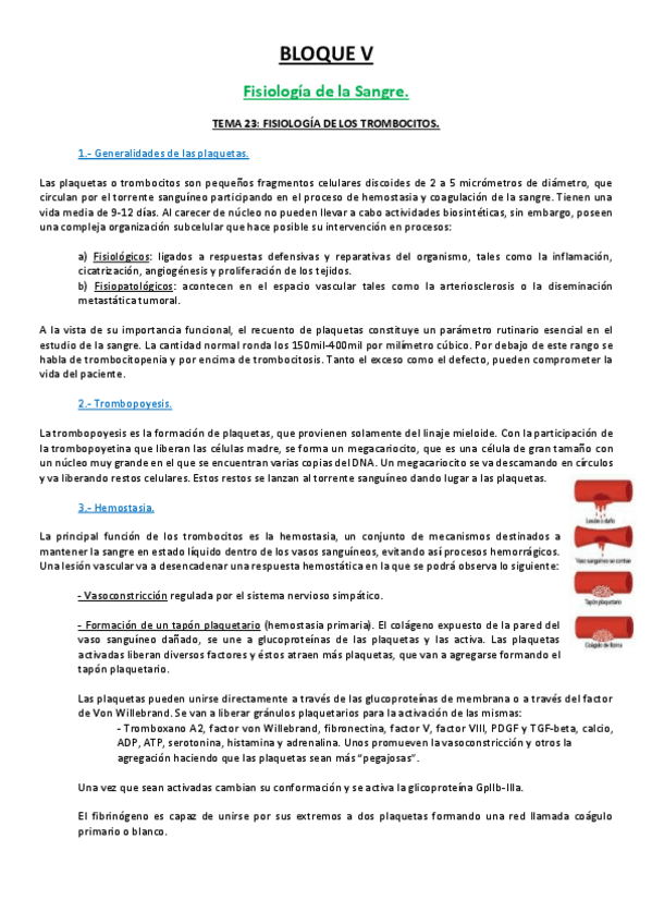 Miniatura del documento 23 TEMA.pdf
