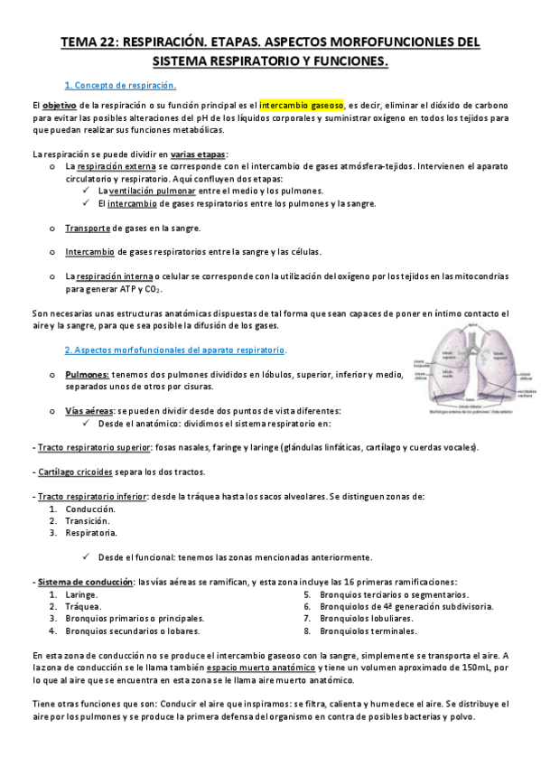 Miniatura del documento 1. Sistema Respiratorio.pdf