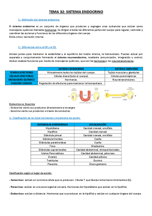 Miniatura del documento 3. Sistema Endocrino.pdf