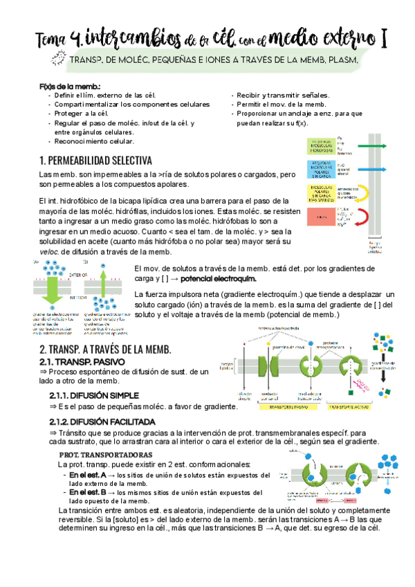 Miniatura del documento Tema-4.pdf
