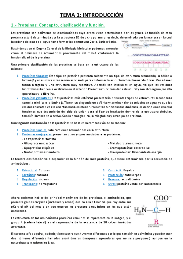 Miniatura del documento TEMA 1.pdf