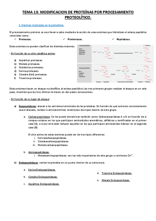 Miniatura del documento Tema 13.pdf