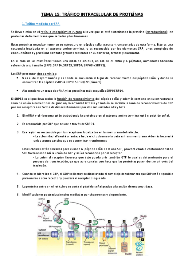 Miniatura del documento Tema 15.pdf