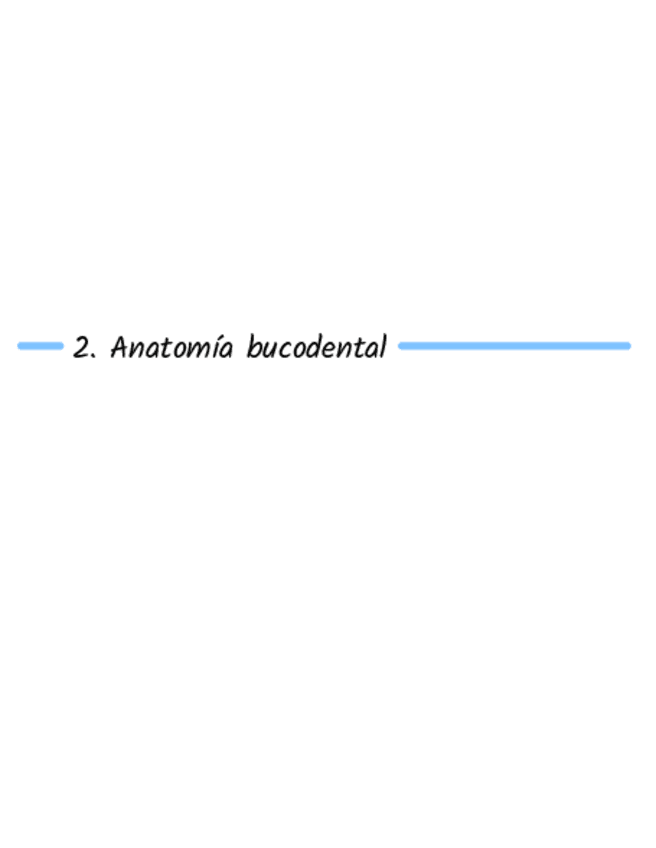Miniatura del documento 2.Anatomia bucodental