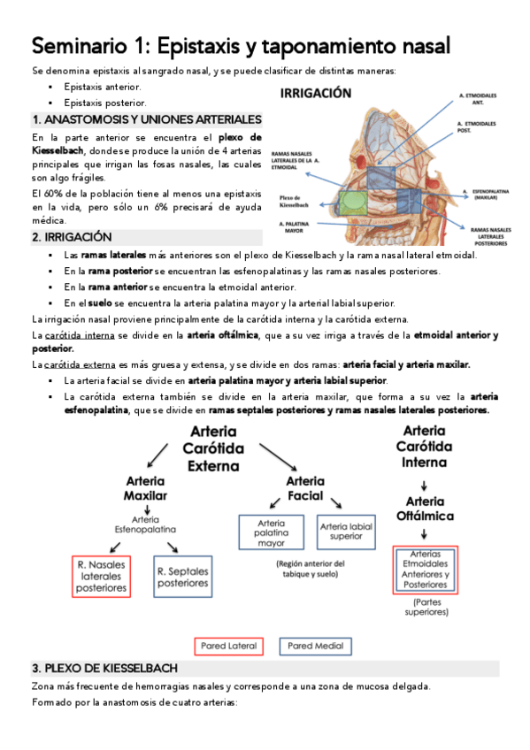 Miniatura del documento S1-Epistaxis-y-taponamiento-nasal.pdf