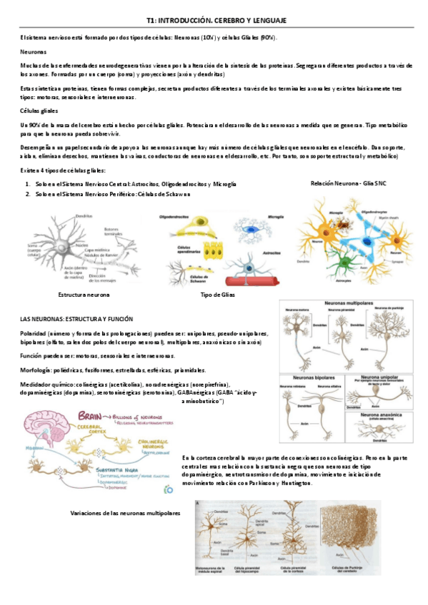Miniatura del documento Bloque-I-Neurodog.pdf