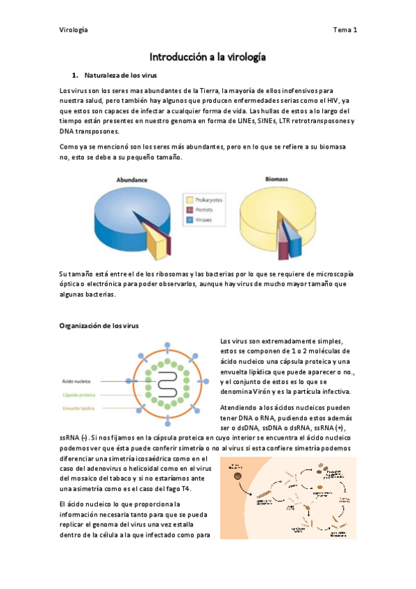 Miniatura del documento Virologia-tema-1.pdf