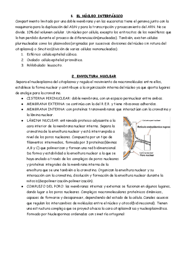 Miniatura del documento BIOLOGIA-3.pdf