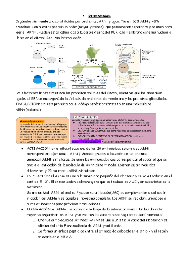Miniatura del documento BIOLOGIA-4.pdf