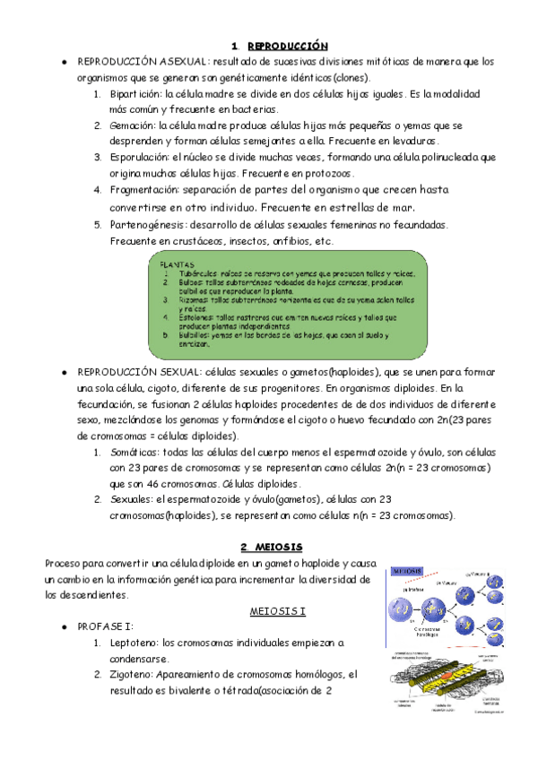 Miniatura del documento BIOLOGIA-9.pdf