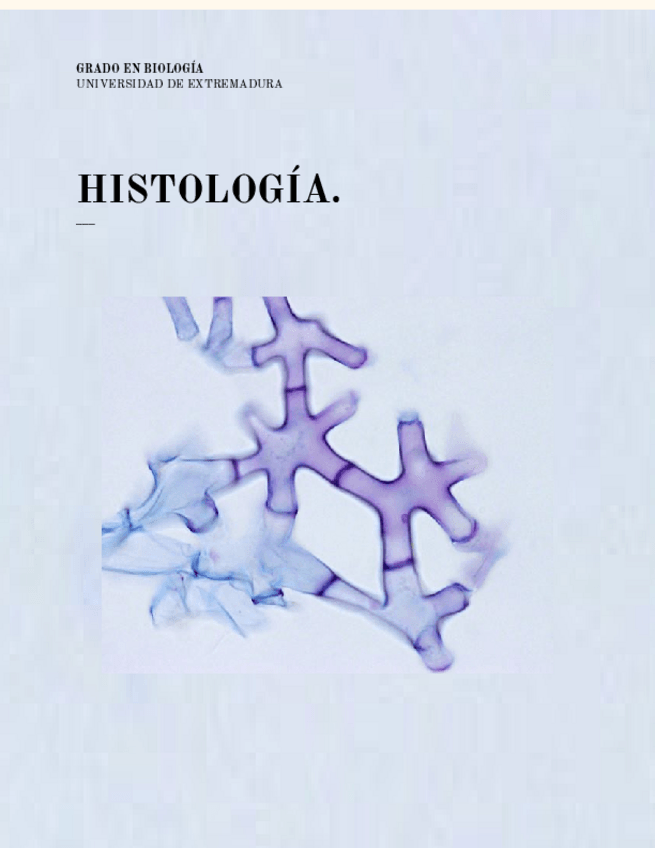 Miniatura del documento PORTADA-HISTOLOGIA.pdf