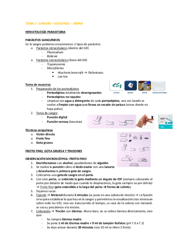 Miniatura del documento TEMA-7-PARA.pdf