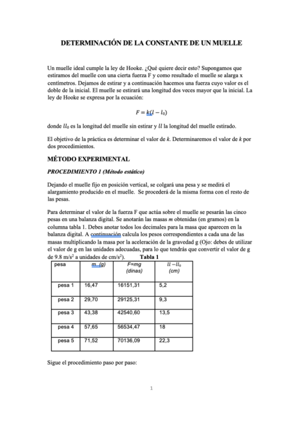 Miniatura del documento informe-constante-muelle-.pdf