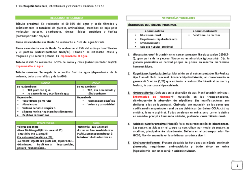 Miniatura del documento NEFOPATIA-TUBULARES.pdf