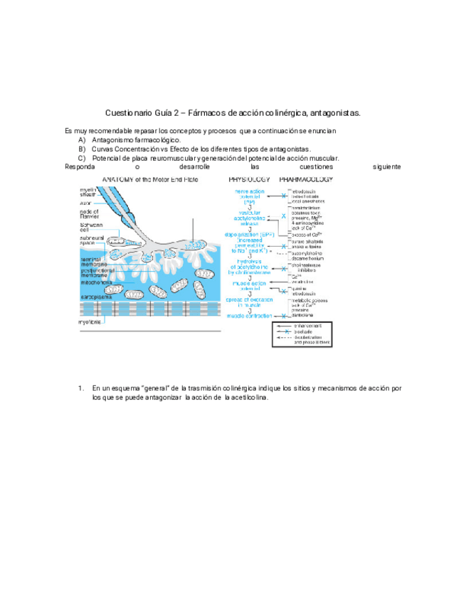 Miniatura del documento Cuestionario-antagonistas-colinergicos.pdf