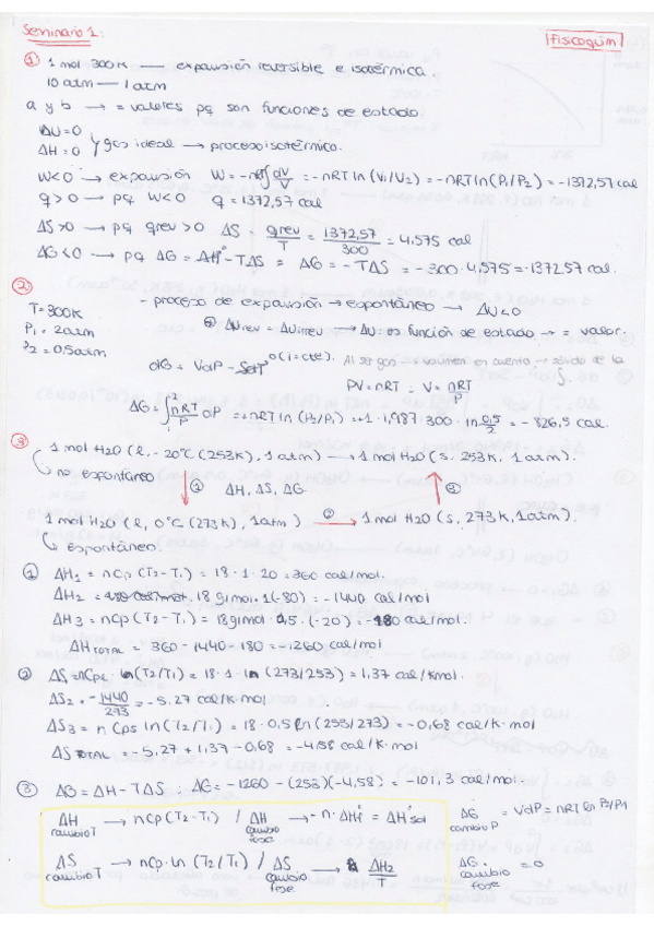 Miniatura del documento seminario 1.pdf