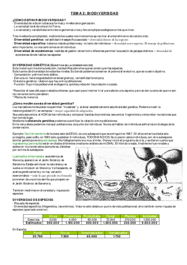 Miniatura del documento TEMA 2. Biodiversidad_Modificado.pdf
