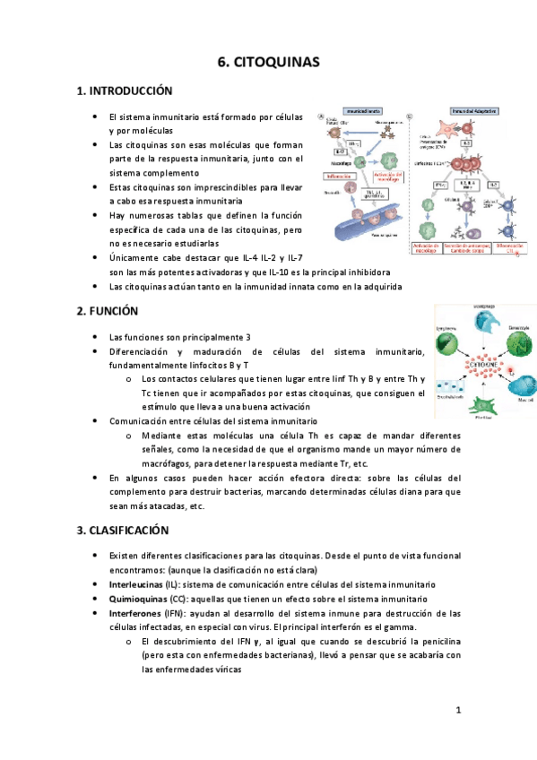 Miniatura del documento 6.pdf