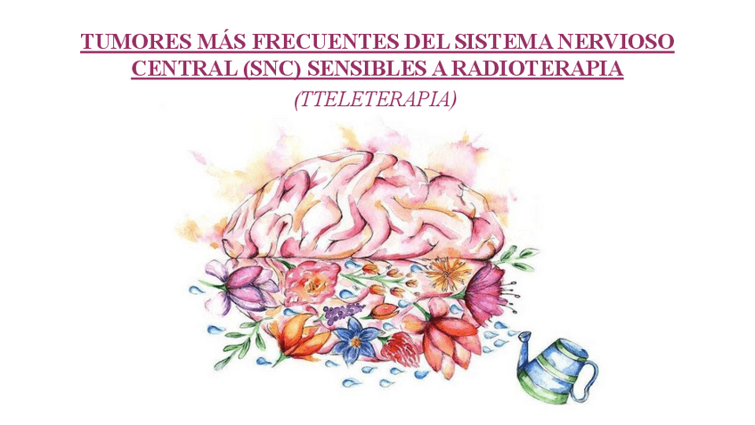 Miniatura del documento TUMORES-MAS-FRECUENTES-DEL-SISTEMA-NERVIOSO-CENTRAL-SNC-SENSIBLES-A-RADIOTERAPIA.pdf