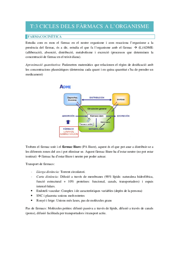 Miniatura del documento T3-CICLES-DELS-FARMACS-A-L-ORGANISME.docx