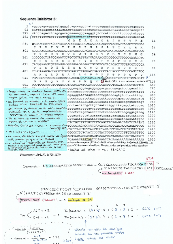 Miniatura del documento Guia-primers-a-mano.pdf