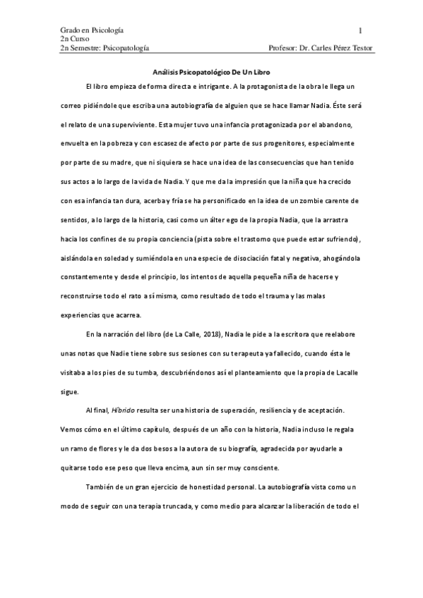 Miniatura del documento Hibrido-de-Ana-de-la-Calle.pdf