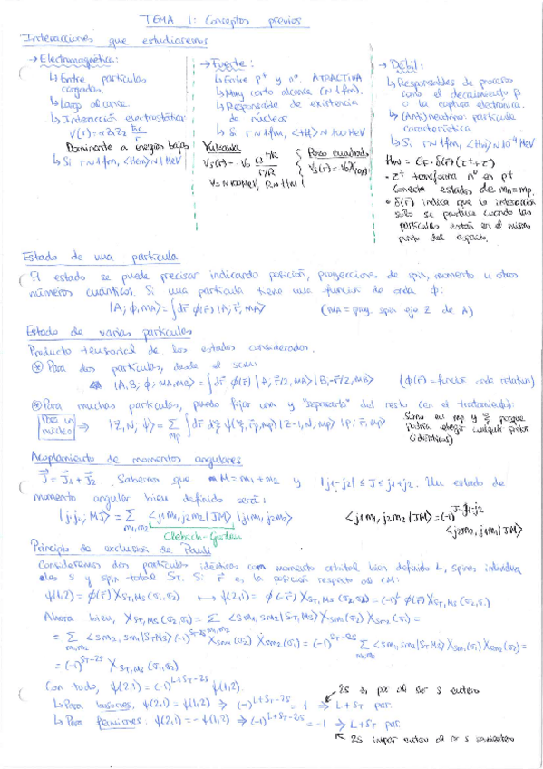 Miniatura del documento fnp-fp.pdf
